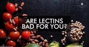 Lectins...are they affecting your gut